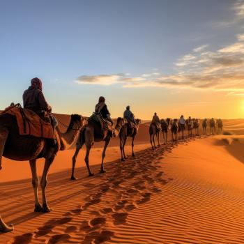 Marrakech y las puertas del Desierto