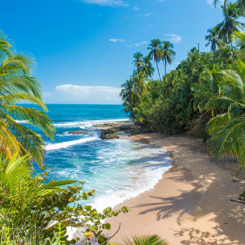 Costa Rica indispensable con Manuel Antonio y alquiler de coche