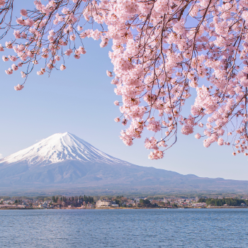 Japón auténtico