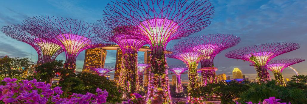 ¡Vuelo a Singapur!
