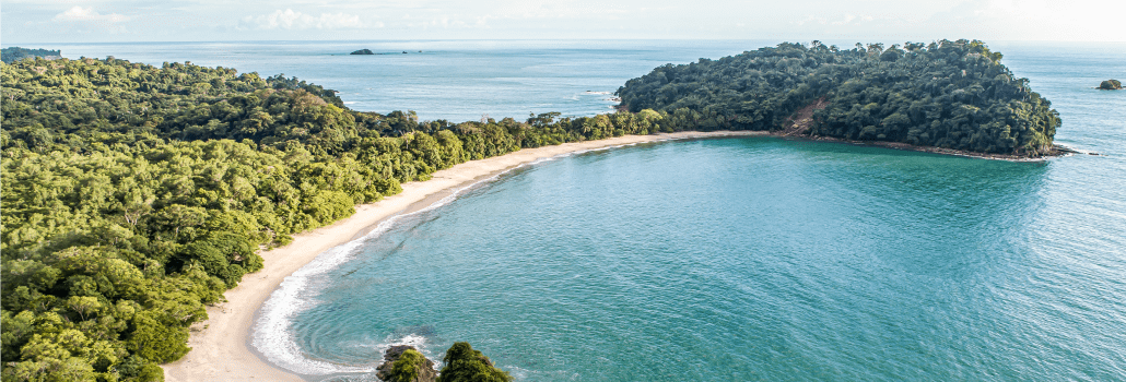 Seguimos disfrutando de Manuel Antonio