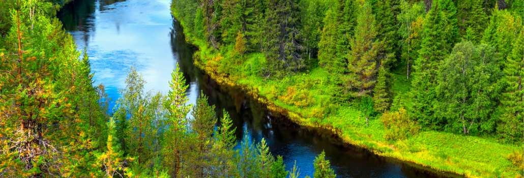 Tiempo libre y excursión opcional Parque Nacional de Oulanka