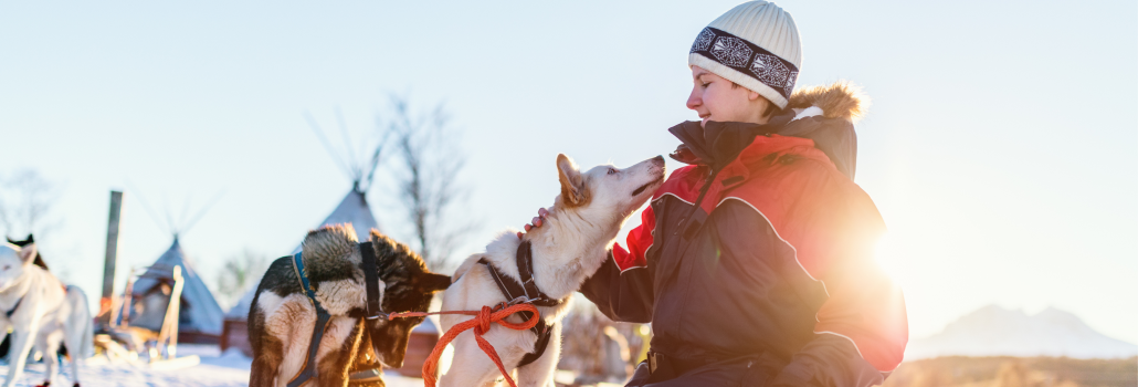 Safari ártico entre huskies, renos y la última noche del año